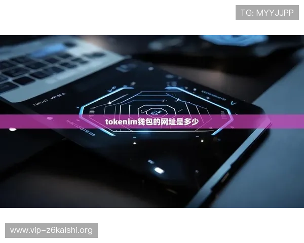 深入解析ag尊龙官网下载的使用步骤与注意事项